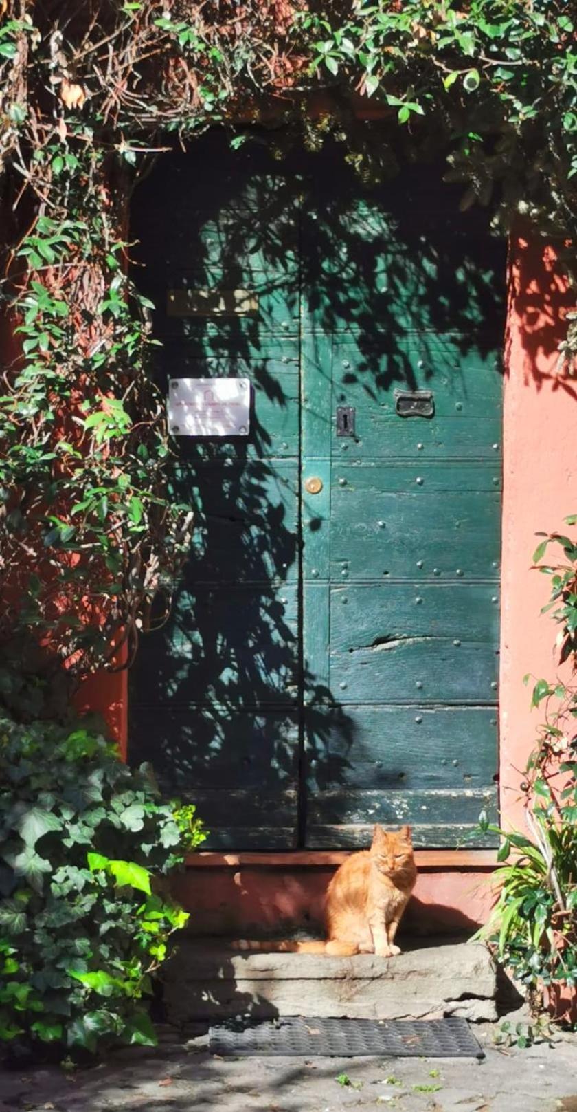Apartments Campo De Fiori 罗马 外观 照片